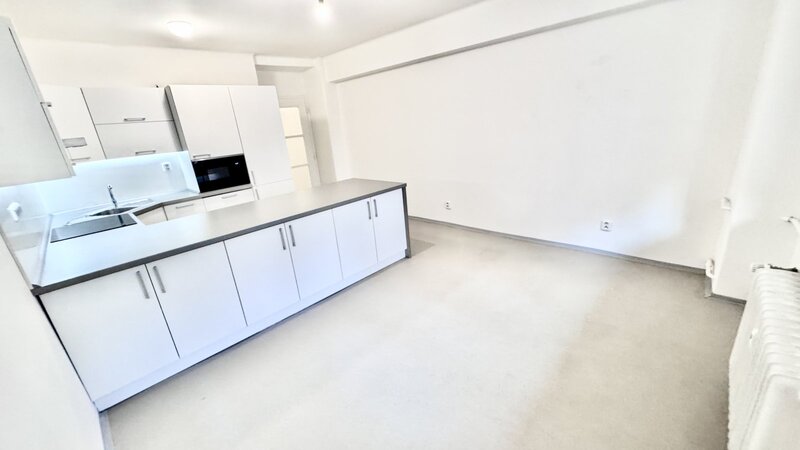 1+1/47m2/Praha 3/Žižkov/Ondříckova/po rekonstrukci/u metra/část.žařizen/