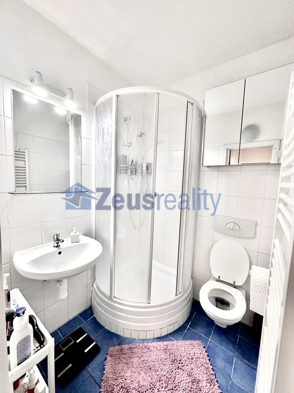 2+KK/45m2/Fráni Šrámka/Praha 5/Smíchov/zařízen částečně