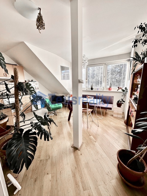 2+KK/45m2/Fráni Šrámka/Praha 5/Smíchov/zařízen částečně