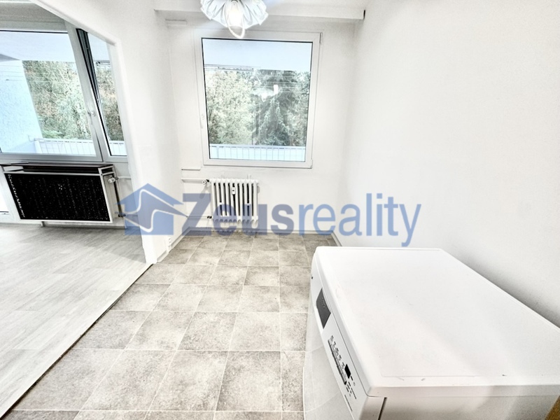 3+1/balkon/77m2/Katovická/Praha 8/Bohnice/částečně vybaven/