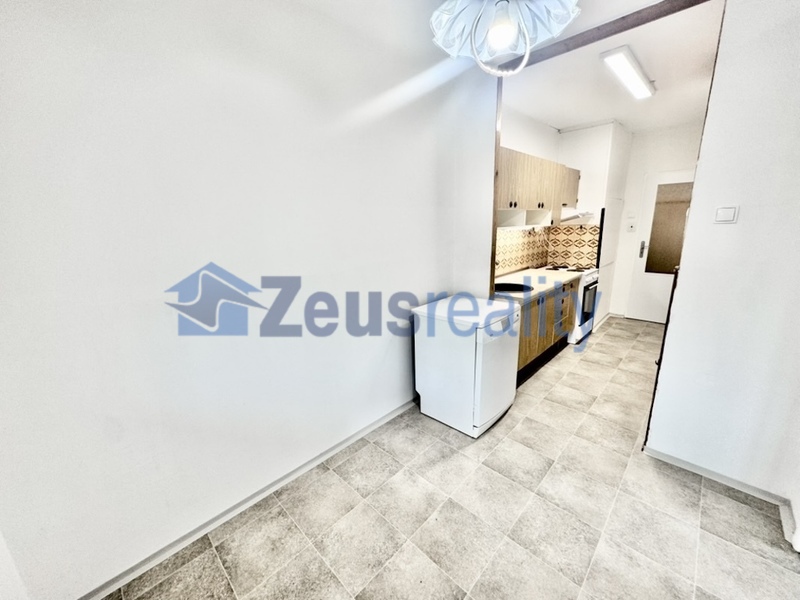 3+1/balkon/77m2/Katovická/Praha 8/Bohnice/částečně vybaven/