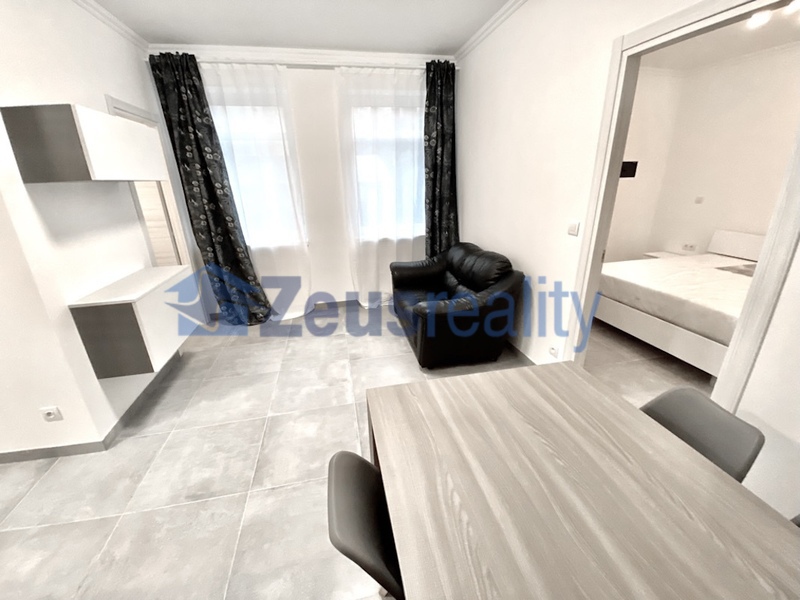 2+1/46m2/společný balkon/Plzeňská/Praha 5/Smíchov/zařízen komplet