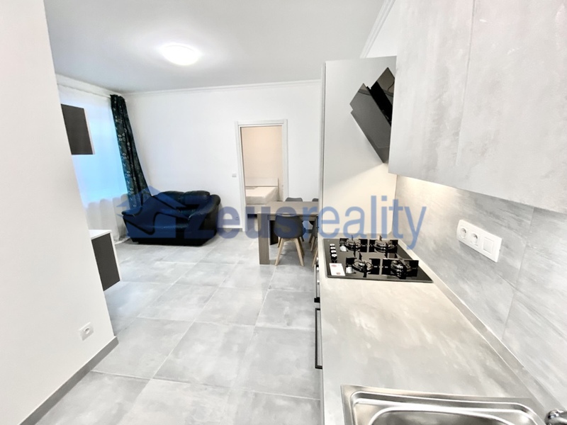 2+1/46m2/společný balkon/Plzeňská/Praha 5/Smíchov/zařízen komplet