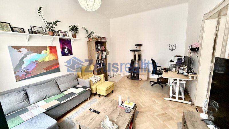 3+KK/66m2/Drahobejlova/Praha 9/Vysočany/částečně vybaven