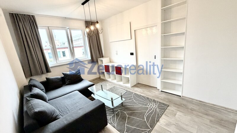 2+1/42m2/Praha 7/Holešovice/Osadní/po rekonstrukci/zařízen částečně/
