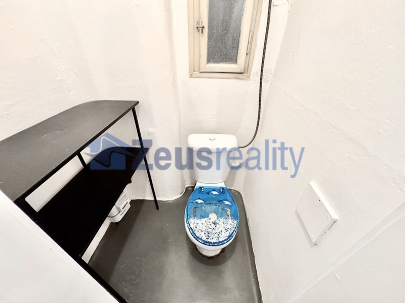 3+KK/81m2/balkon/Boleslavská/Vinohrady/Praha 3/nezařízen