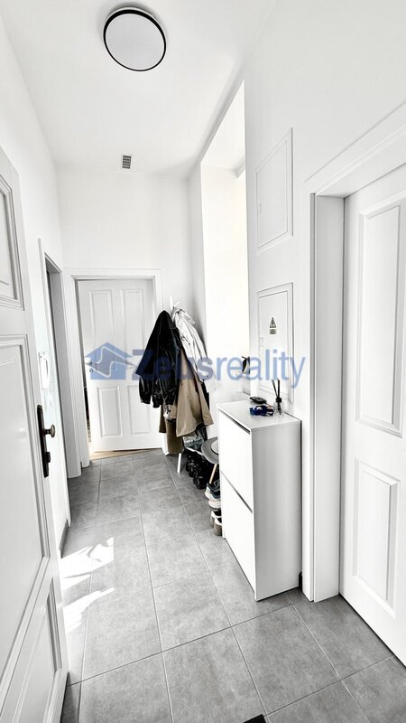 2+1/58m2/Nové Město/Na slupi/Praha 2/částečně zařízen/po rekonstrukci