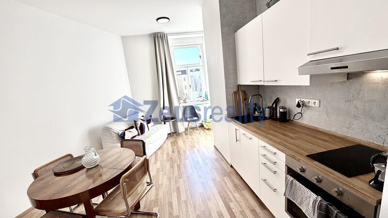 2+1/58m2/Nové Město/Na slupi/Praha 2/částečně zařízen/po rekonstrukci