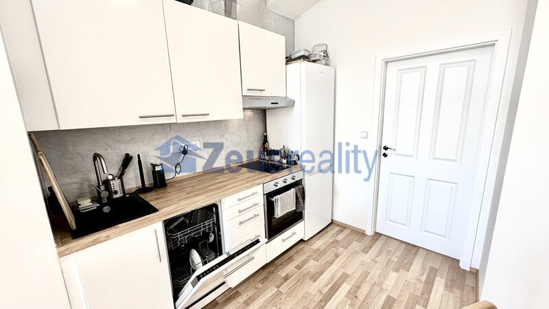 2+1/58m2/Nové Město/Na slupi/Praha 2/částečně zařízen/po rekonstrukci