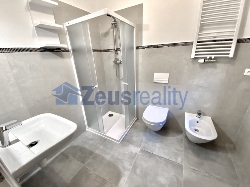 3+KK/46m2/společný balkon/Plzeňská/Praha 5/Smíchov/zařízen komplet