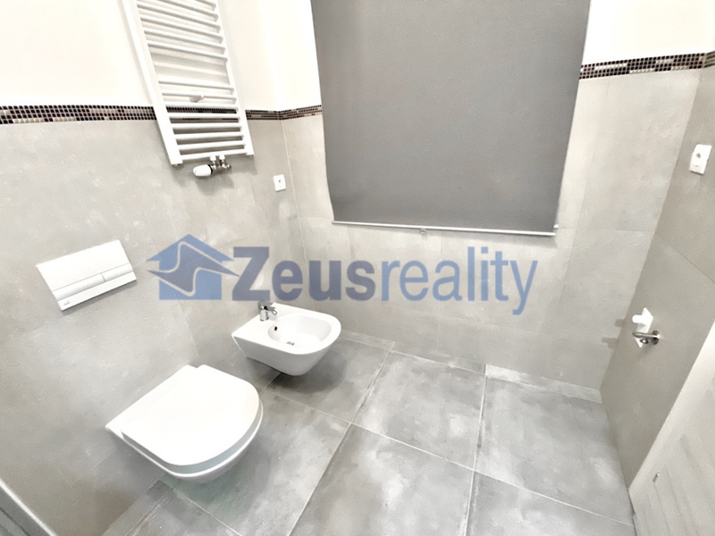 3+KK/46m2/společný balkon/Plzeňská/Praha 5/Smíchov/zařízen komplet