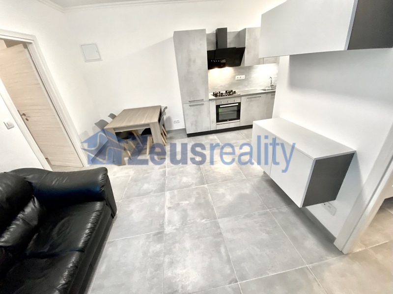 3+KK/46m2/společný balkon/Plzeňská/Praha 5/Smíchov/zařízen komplet