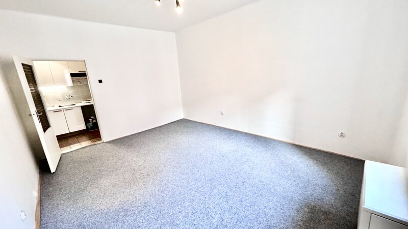 1+KK/28m2/Ronkova/Praha 8/částečně zařízen/