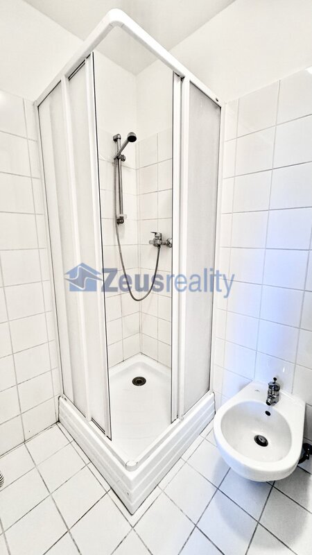 2+1/2xkoupelna/63m2/Budečská/Praha 2/Vinohrady/samostatné pokoje/po rekonstrukci/častečně vybaven/