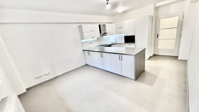 2+kk/47m2/Praha 3/Žižkov/Ondříckova/po rekonstrukci/u metra/část.žařizen/