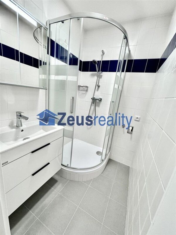 1+KK/komora/30m2/Praha 4/Chodov/Samohelova/zařízen částečně