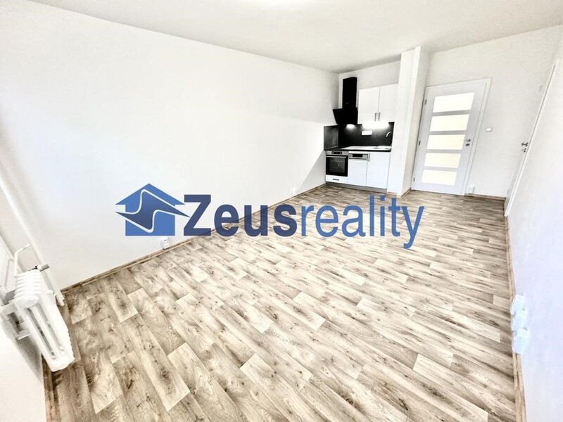 1+KK/komora/30m2/Praha 4/Chodov/Samohelova/zařízen částečně