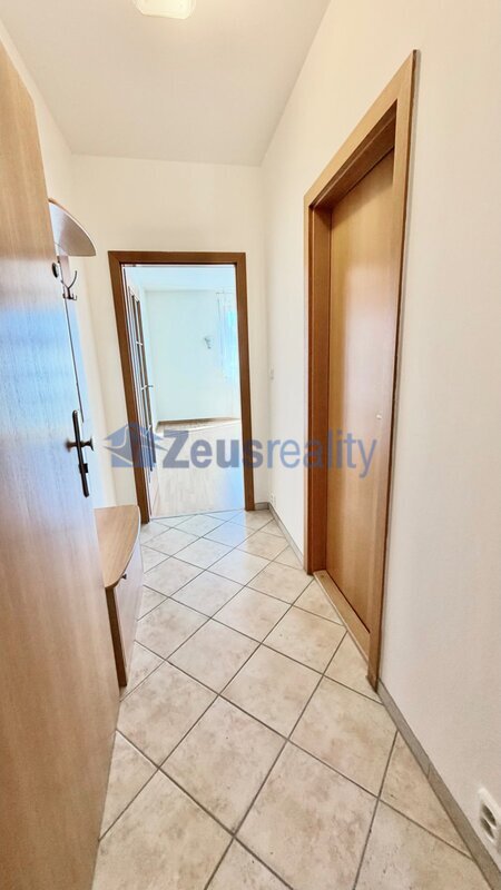 1+KK/terasa/39m2/garážové stání/sklep/Praha 7/Troja/Trojská/zařízen částečně/v klidu a zeleni