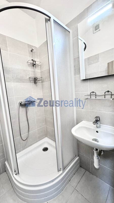 1+KK/35m2/Praha 3/Žižkov/Seifertova/zařízen částečně/u tramvaje/blízko centra/