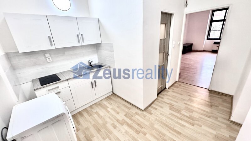 1+KK/35m2/Praha 3/Žižkov/Seifertova/zařízen částečně/u tramvaje/blízko centra/