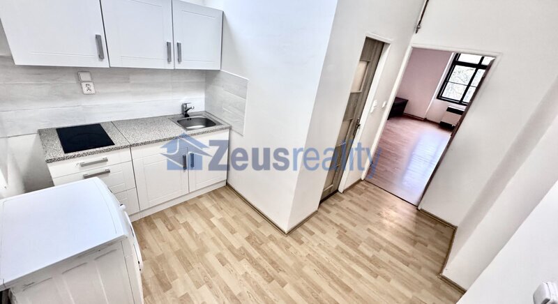 1+KK/35m2/Praha 3/Žižkov/Seifertova/zařízen částečně/u tramvaje/blízko centra/