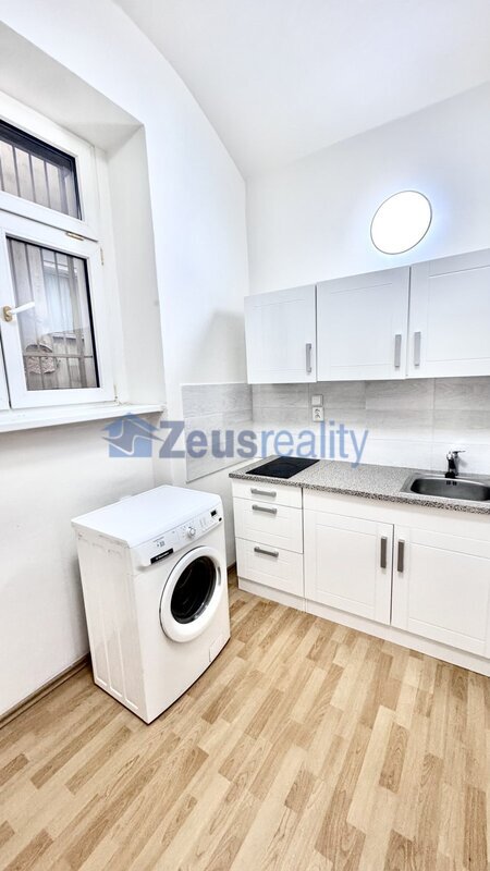 1+KK/35m2/Praha 3/Žižkov/Seifertova/zařízen částečně/u tramvaje/blízko centra/