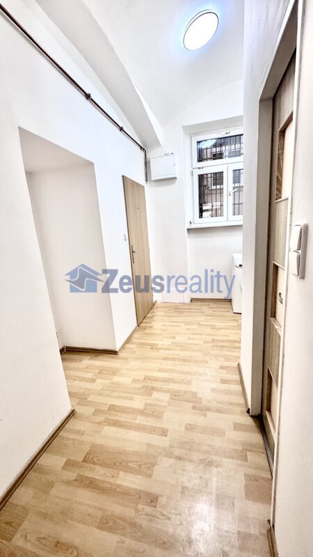 1+KK/35m2/Praha 3/Žižkov/Seifertova/zařízen částečně/u tramvaje/blízko centra/