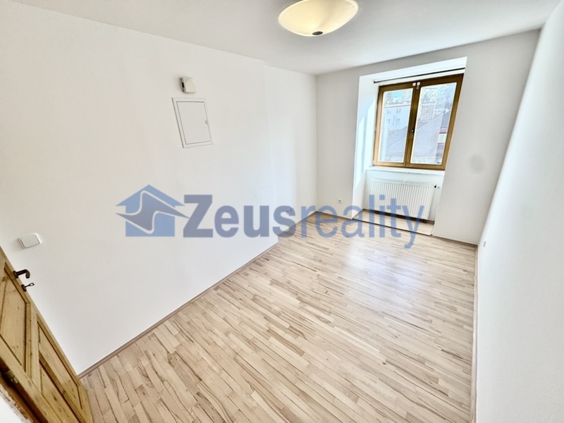 4+KK/123m2 + terasa 35m2/Fráni Šrámka/Praha 5/Smíchov/zařízen částečně