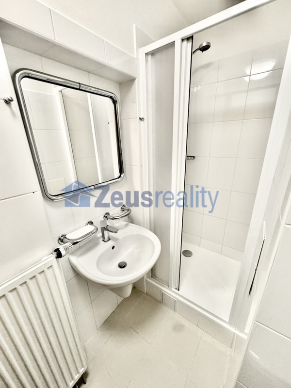 4+KK/123m2 + terasa 35m2/Fráni Šrámka/Praha 5/Smíchov/zařízen částečně