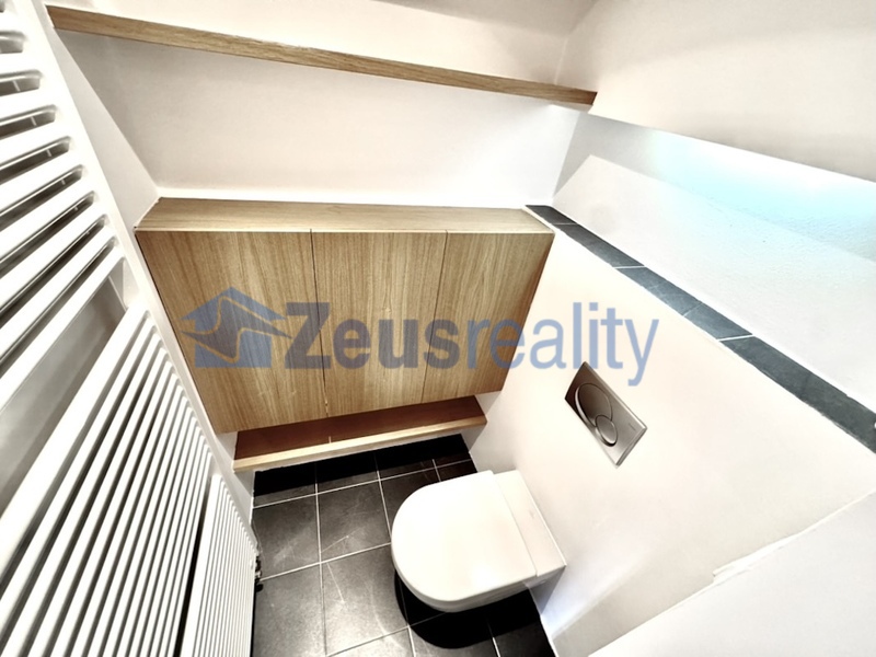 4+KK/115m2/balkon/Jánská/Staré město/Praha 1/zařízen částečně