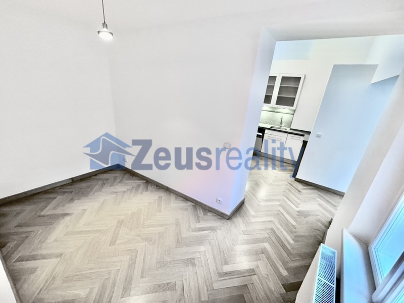 4+KK/115m2/balkon/Jánská/Staré město/Praha 1/zařízen částečně