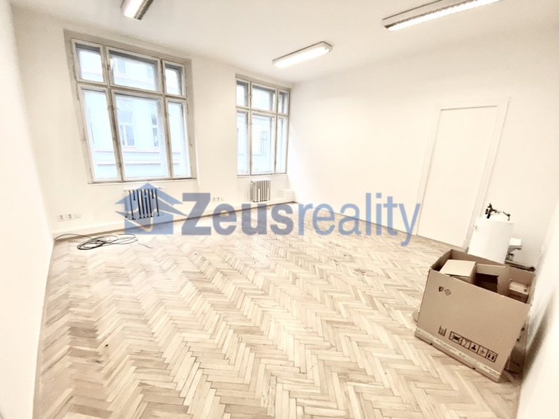 Kanceláře/1místnosti/27,40m2/Kaprova/Praha 1/Staré město/nezařízeno