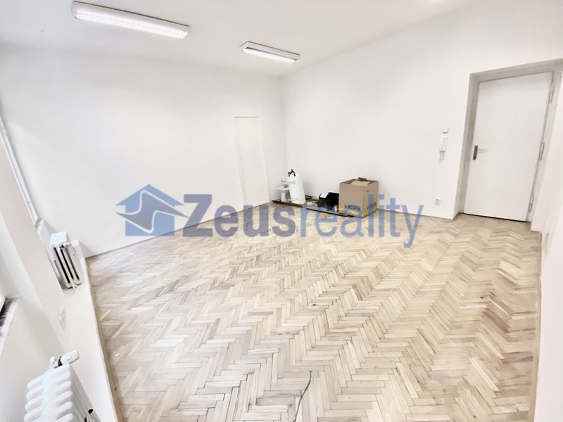 Kanceláře/1místnosti/27,40m2/Kaprova/Praha 1/Staré město/nezařízeno
