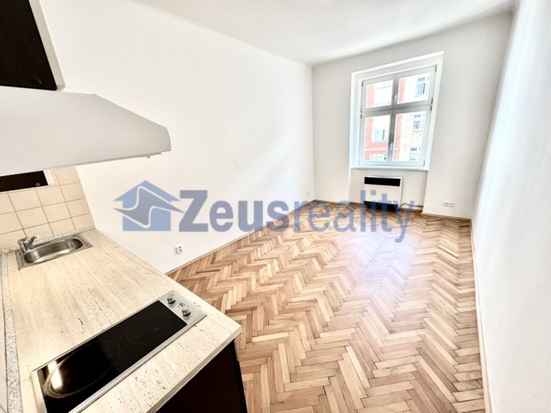 2+KK/40m2/komora/Praha 3/Žižkov/Žerotínova/částečně vybaven/po rekonstrukci