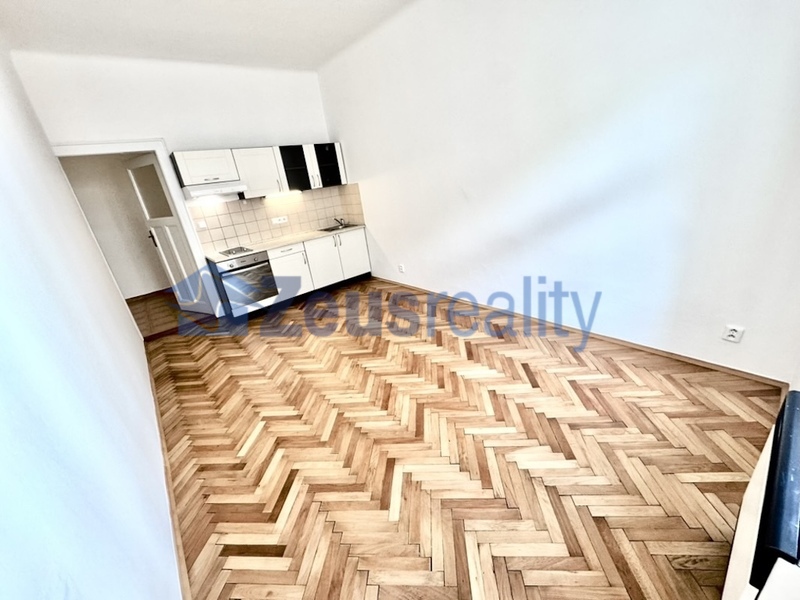 2+KK/40m2/komora/Praha 3/Žižkov/Žerotínova/částečně vybaven/po rekonstrukci