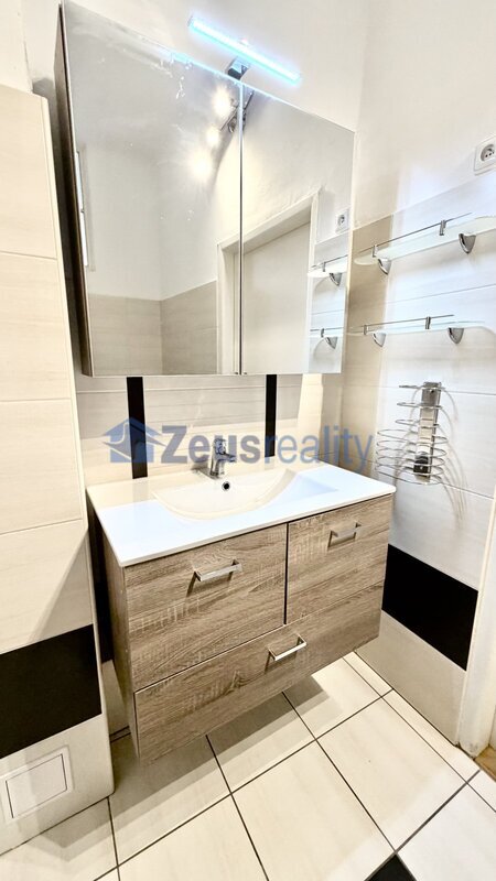 4+KK/116m2/Praha 3/Žižkov/Ondříckova/po rekonstrukci/u metra/částečně zařízen