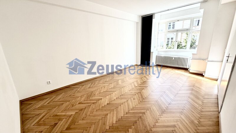 4+KK/116m2/Praha 3/Žižkov/Ondříckova/po rekonstrukci/u metra/částečně zařízen