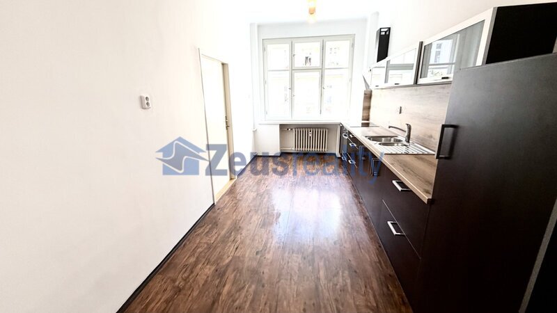 4+KK/116m2/Praha 3/Žižkov/Ondříckova/po rekonstrukci/u metra/částečně zařízen
