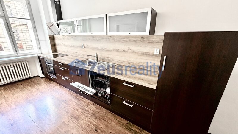 4+KK/116m2/Praha 3/Žižkov/Ondříckova/po rekonstrukci/u metra/částečně zařízen